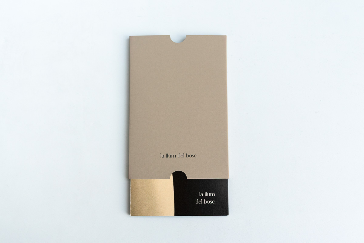Fold-out book