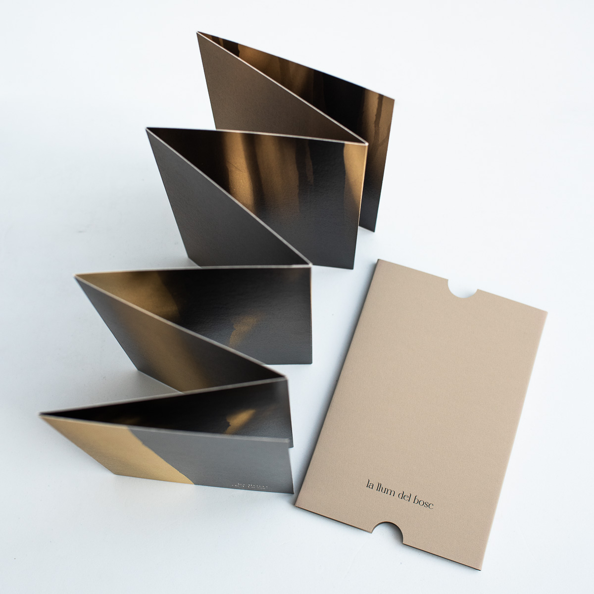 Fold-out book