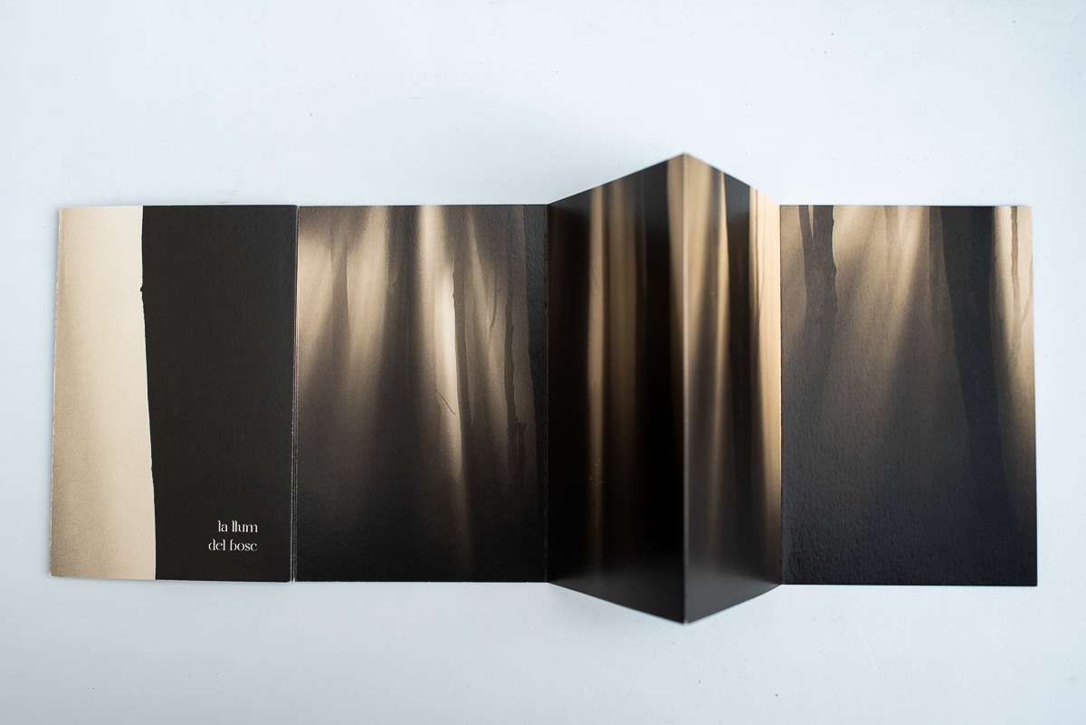 Fold-out book