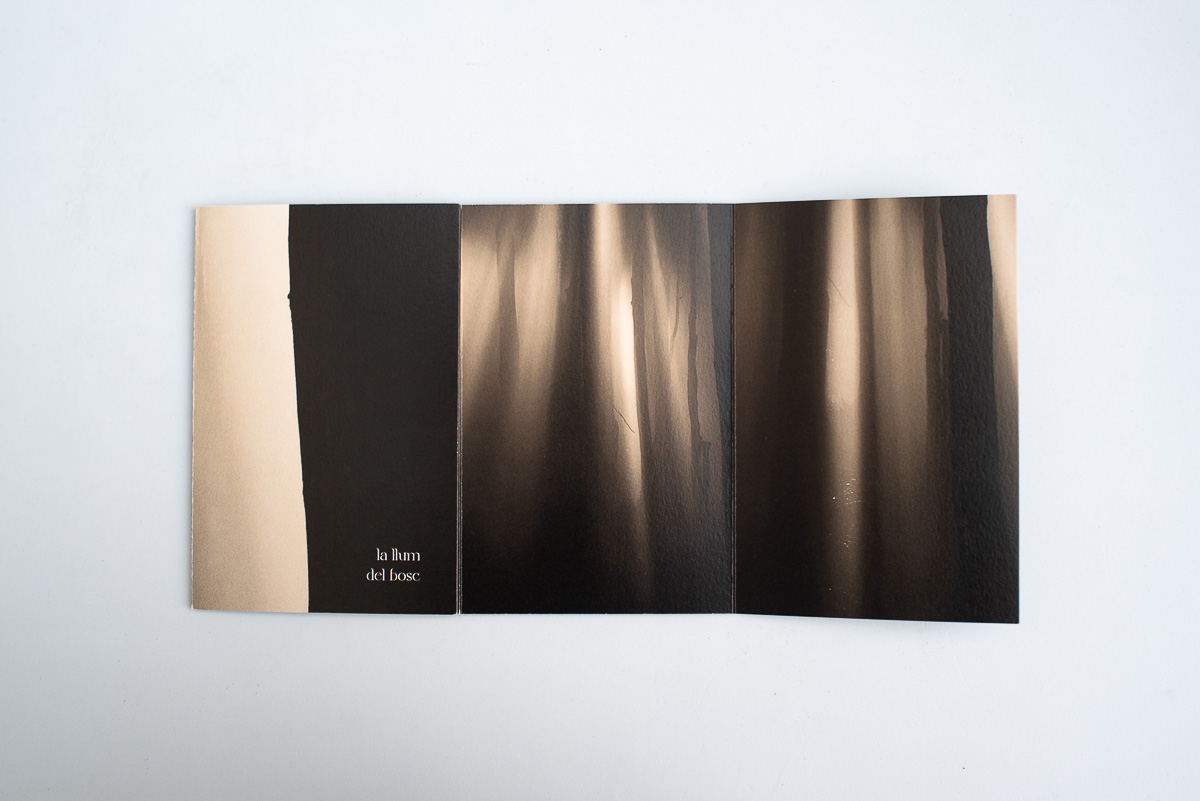 Fold-out book