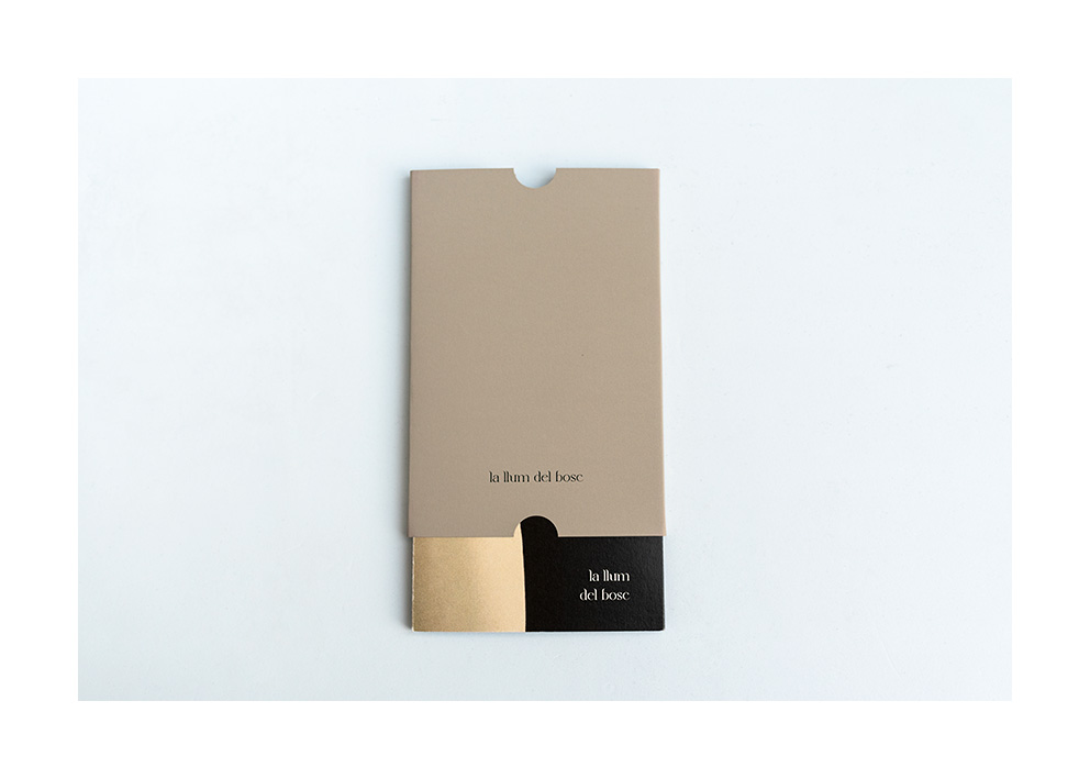 Fold-out book